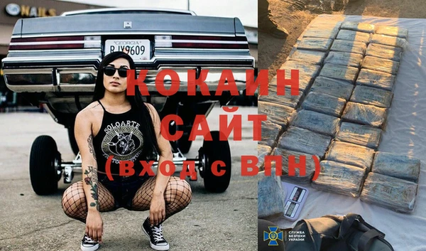 кокс Осташков