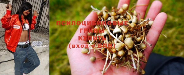 кокс Осташков